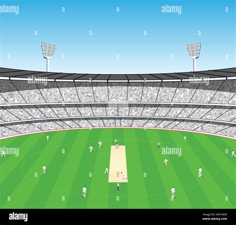 Cricket Playground Background