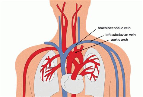 Anatomy is the Key | 123sonography