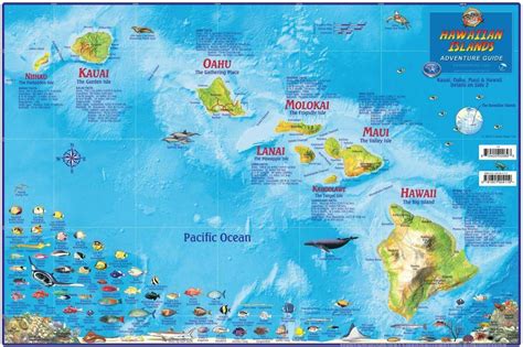 Map Of Hawaiian Islands – Map Of The World