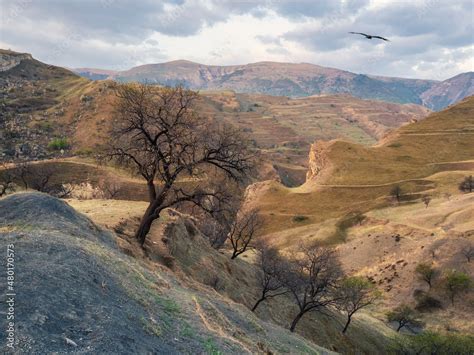 Foto Stock Fault in the rock. Unique green mountain landscape with ...