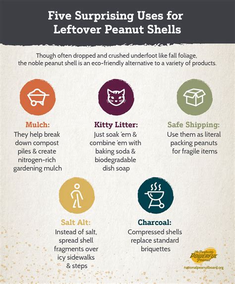 5 Surprising Uses for Peanut Shells | National Peanut Board George Washington Carver, Female ...