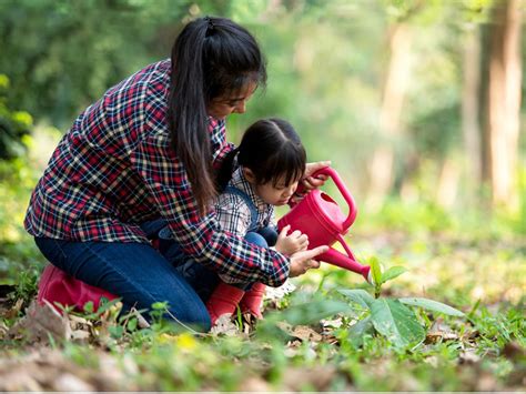 Gardening Tips For Beginners – How To Start A Garden | Gardening Know How