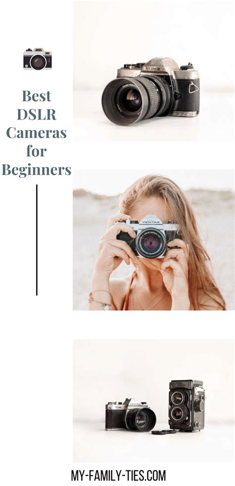 Best DSLR Cameras For Beginners • My Family Ties