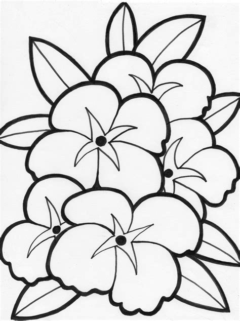 Free Flower Coloring Pages - Flower Coloring Page