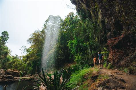 How to Do Springbrook National Park, Gold Coast Hinterland | Queensland