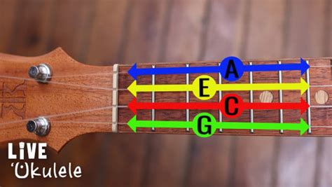 Ukulele Tuning Tips: How to Tune a Uke