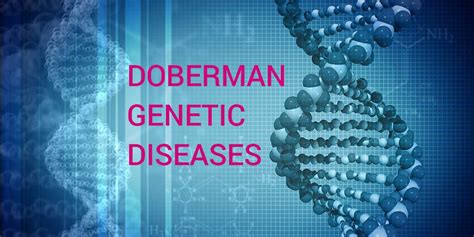 Health issues: Doberman genetic diseases