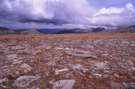 File:RMNP Trail Ridge Road Tundra.jpg - Wikimedia Commons