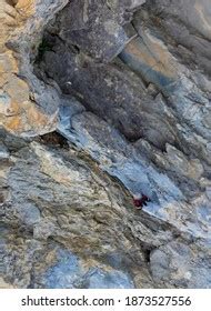 242 Wallcreeper Bird Images, Stock Photos & Vectors | Shutterstock