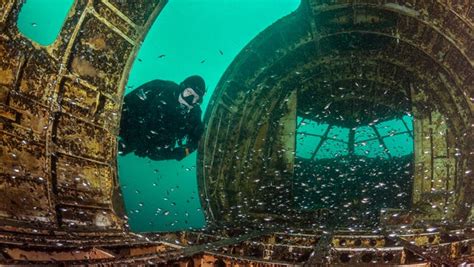 Scuba diving: 10 best places to dive without leaving the US