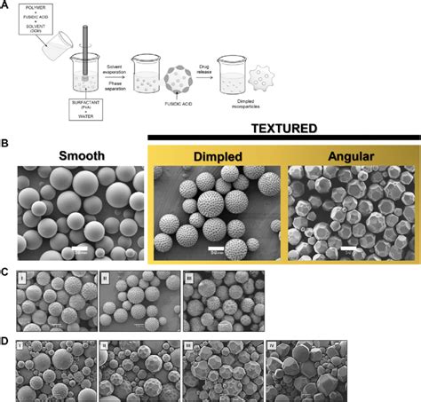 Fabrication and characterization of topographically textured... | Download Scientific Diagram