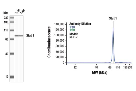 Signal To Noise Ratio In Hplc | emjmarketing.com