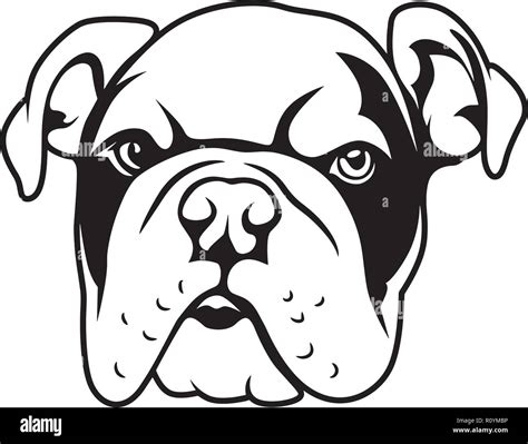 Adorable Cute Cartoon Bulldog Face - l2sanpiero