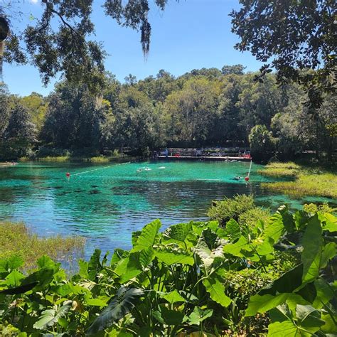 Rainbow Springs State Park - gravityextremezone.com