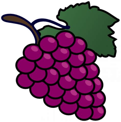 Grapes Clipart Animated and other clipart images on Cliparts pub™