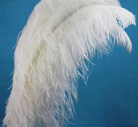 Pluma de la avestruz Wholesale 5 pcs ostrich feather 20 22nches/50 55cm long white feathers for ...