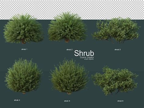 Premium PSD | Various types of shrubs