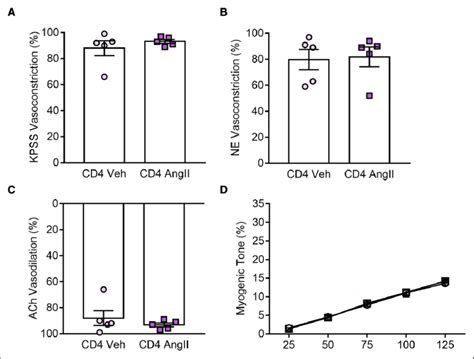 CD4 T cells do not affect vascular function and myogenic tone of ...