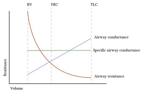 Factors that affect airway resistance | Deranged Physiology