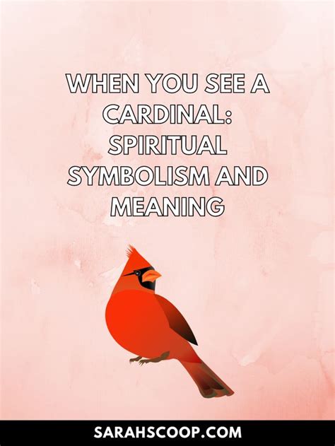 When You See a Cardinal: Spiritual Symbolism and Meaning (2023)