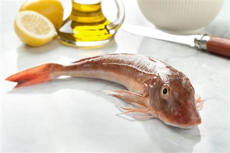 Premium Photo | Single fresh raw red gurnard fish close up in the kitchen