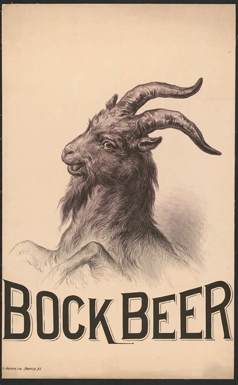 Bock Beer | Free Photo - rawpixel