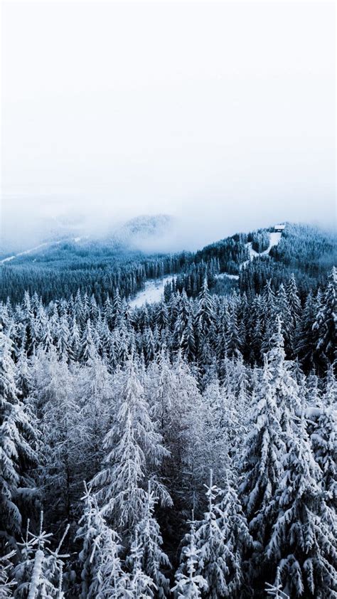 iPhone Winter Trees Wallpapers - Wallpaper Cave