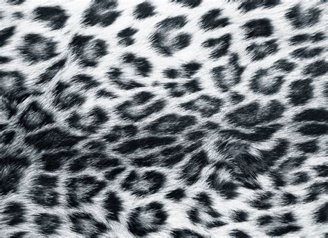 Snow Leopard Backgrounds - Wallpaper Cave