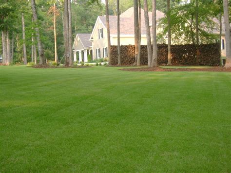 360SOD - Sod turf grass sales and service in the state of Georgia