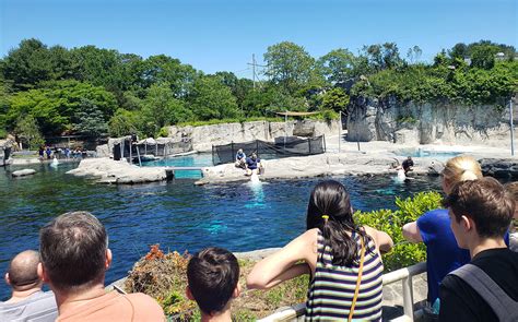 Mystic Aquarium | This Is Mystic, CT