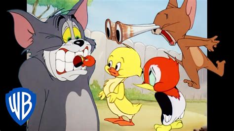 Top 999+ tom and jerry cartoon images – Amazing Collection tom and ...