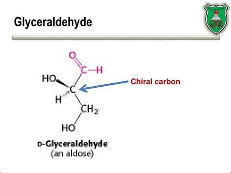 PPT - Macromolecules & Carbohydrates PowerPoint Presentation, free download - ID:945923