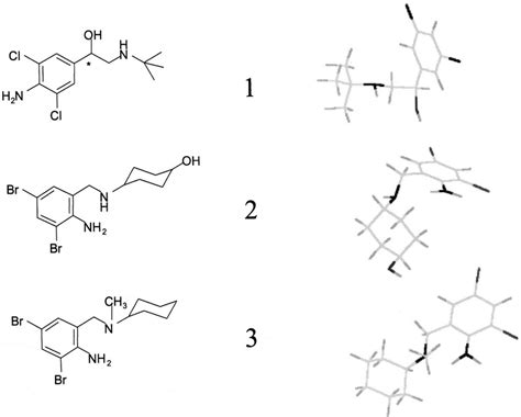 Molecular structure of (1) clenbuterol, (2) ambroxol and (3 ...