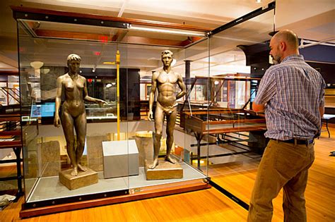 Harvard’s Peabody Museum fetes 150 years with unusual exhibit — Harvard Gazette