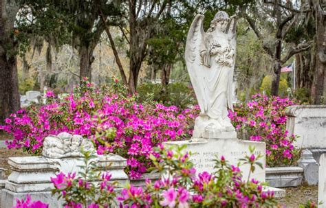 Bonaventure Cemetery | Visit Savannah