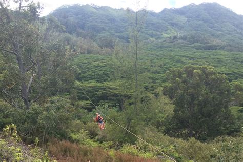 Koloa Zipline Kauai, Hawaii - Brie Brie Blooms