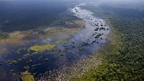 Can We Find the World’s Remaining Peatlands in Time to Save Them? - Yale E360