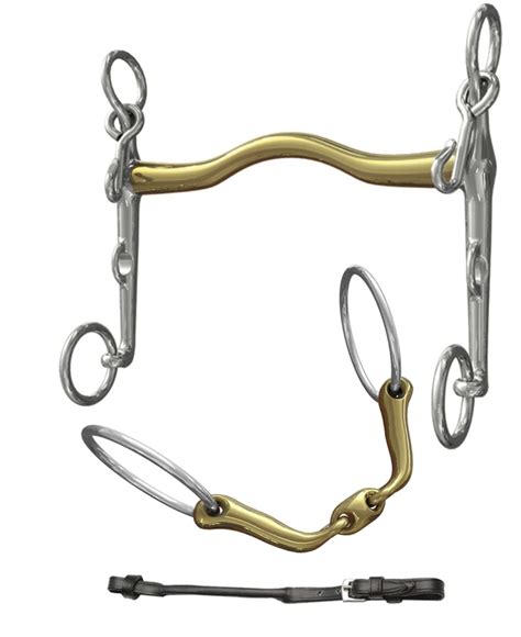 Double Trouble? Let us take the headache out of choosing a double bridle bit set! - Bit Bank ...