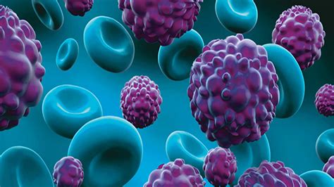 The Cell - Definition, Structure, And Components | Example NG