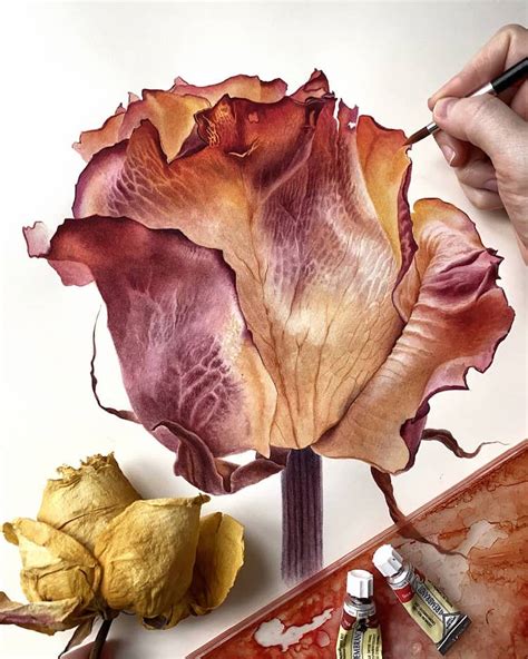 Artist Captures the Delicate Beauty of Nature in Botanical Paintings