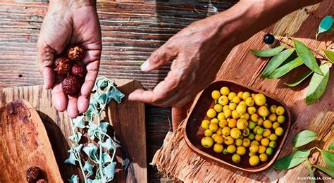 Aboriginal Chefs: Cooking with Australian Bush Tucker | Aboriginal food ...