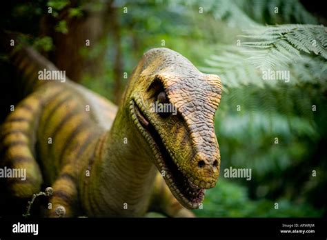 Dinosaur eye close up hi-res stock photography and images - Alamy