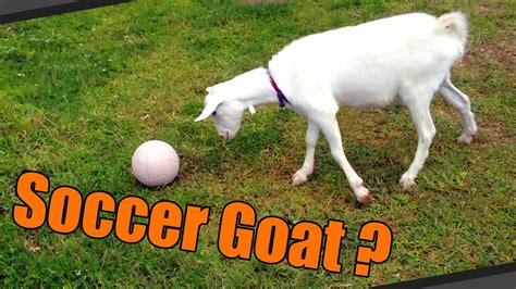 Epic Goat IN-GAME // Moldova Football Junior - YouTube