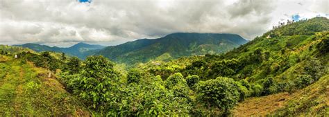 9 Unique Things to Do in the Blue Mountains in Jamaica