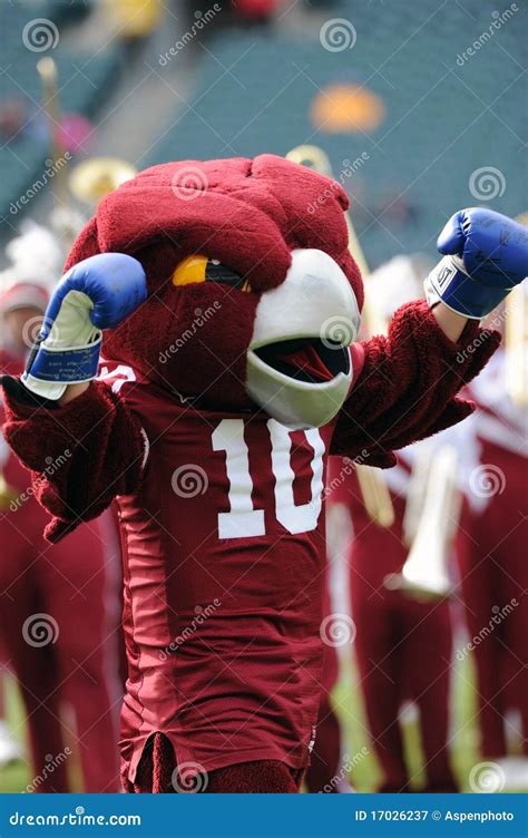 Hooter - the Temple University Owls Mascot Editorial Photography ...