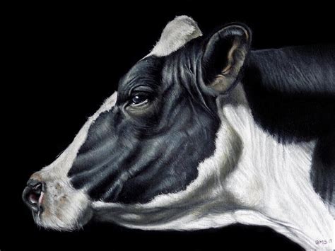 Holstein Friesian Dairy Cow by benke33 on DeviantArt