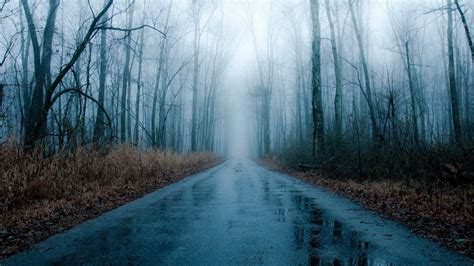 Foggy, rainy road in winter | Rain wallpapers, Forest road, Foggy forest