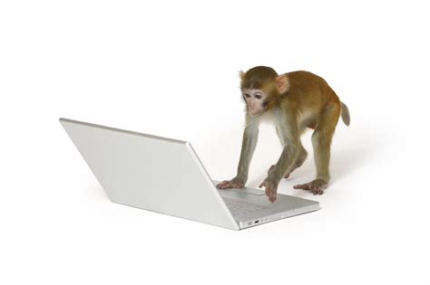 Trabajo de Monos! / Monkeys work! | Twitter strategy, Evolutionary psychology, Monkey types