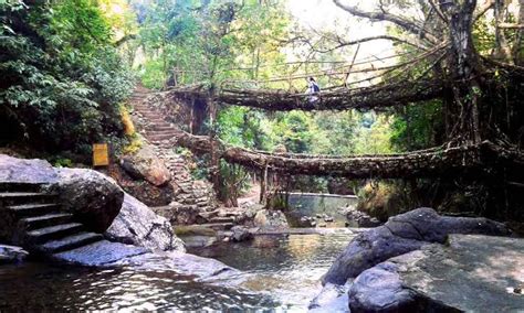 Trekking at Double Decker Root Bridge - Cherrapunji - Connecting Traveller