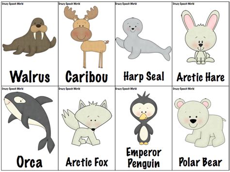 Free Arctic Hare Cliparts, Download Free Arctic Hare Cliparts png ...